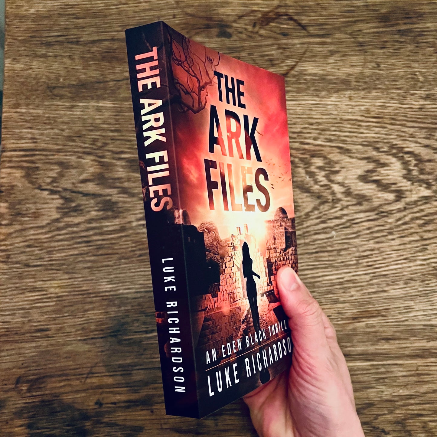 The Ark Files Paperback (Eden Black book 1)